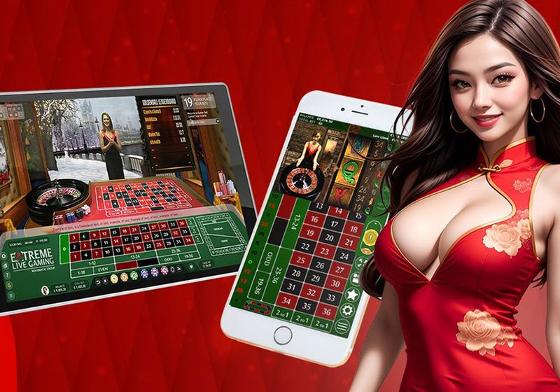 Tra cứu lịch sử ván chơi trong trải nghiệm LE88